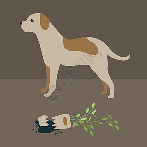 不讲武德坏狗打破了一个陶瓷的家用植物 宠物狗教育 达赫肖德狗的行为插画