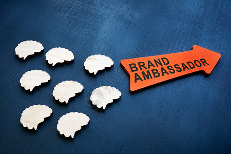 大脑和箭头在表面 品牌大使的概念背景图片