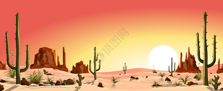 海子山自然保护区仙人掌和石头山谷沙漠的日落插画