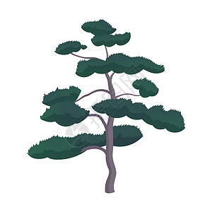 在白色背景上隔离的现实绿色橡树  矢量环境树干森林植物商业植物学生态草图公司手绘背景图片