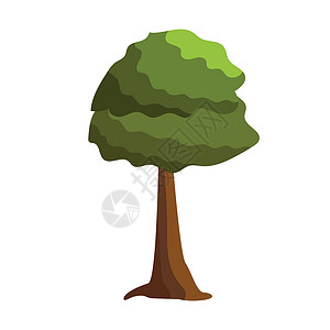 白色背景上的绿树摘要  矢量植物横幅季节木头叶子插图卡片绘画生态艺术背景图片