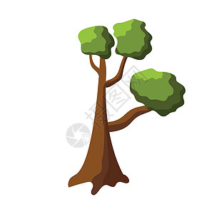 白色背景上的绿树摘要  矢量季节木头插图花园墙纸标识卡片邀请函环境艺术背景图片