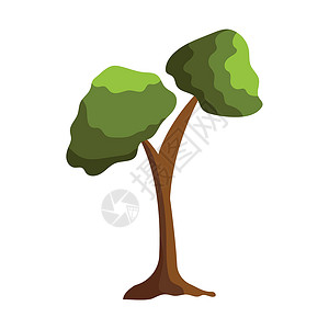 白色背景上的绿树摘要  矢量绘画木头生态森林邀请函插图叶子环境横幅季节背景图片