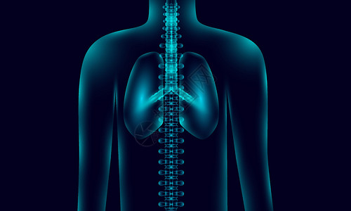 胸部x光带有肺脊 X光音调样式的解剖背景照明 矢量图解 Eps10插画