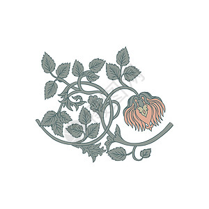 孤立的花卉复古元素 魔法复古花 工艺美术运动的灵感 矢量设计元素叶子植物墙纸花园纺织品艺术包装插图古董绘画背景图片