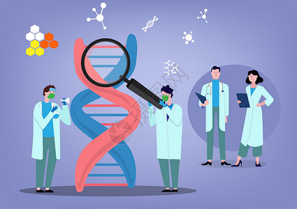 用户研究遗传 DNA 科学矢量插图的医生工作咨询科学家检查 DNA 的概念特征组 平面矢量图的概念插画