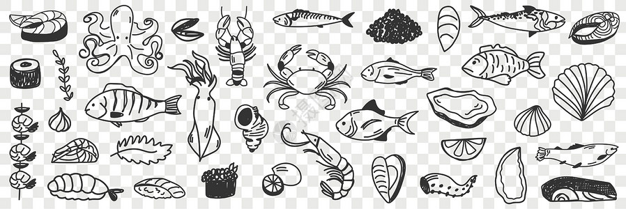 透明粉笔素材海产和鱼 海食品和鱼条插画