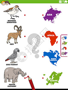 欧洲大陆匹配动物物种和大陆教育任务学习逻辑插图幼儿园工作工作簿大洲测试绘画孩子们插画
