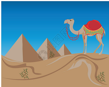 迪拜沙漠以埃及三座金字塔为背景的可爱骆驼插图 东游记赏心悦目 美丽的沙漠沙丘 神秘的金字塔以其宏伟的姿态向您招手插画