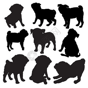 獒Pug 纯种狗坐在侧视旁 有影子  隔离的矢量光影黑色拖把小狗身体犬类草图哺乳动物艺术动物绘画设计图片