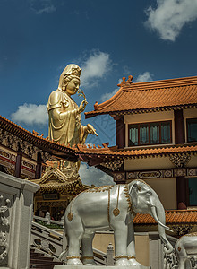 白燕盏在福光山寺与白大象雕像合影的大泉神像(千燕佛)背景