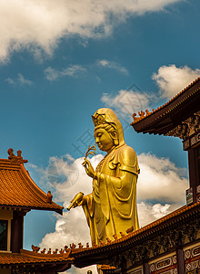 福光山寺的宽燕大雕像(千银佛)高清图片