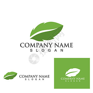 绿色树叶生态标志插图商业标签生活网络标识叶子生物产品回收背景图片