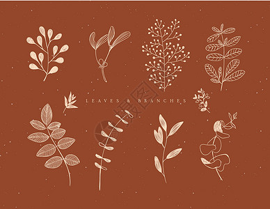 橄榄干图形树叶和棕色分支插画