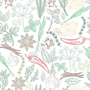 洋葱植物香料 草药和绿绿无缝模式插画