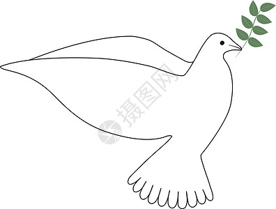 美娜多潜水用绿叶树枝绘制鸽子线插画