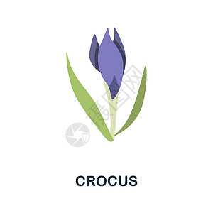 薰衣草图标番红花平面图标 鲜花系列中的彩色元素标志 平面 Crocus 图标标志 用于网页设计 信息图表等插画