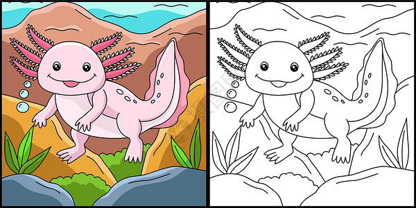Axolotl 色彩页面颜色说明动物图画书手绘夹子动物园彩页填色孩子们涂鸦两栖动物背景图片
