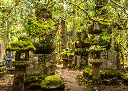 高野山深入旅行旅行更多高清图片