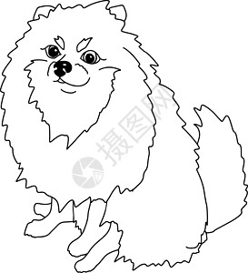 博美犬黑白草图 矢量宠物插图 小狗设计图片