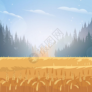小麦岛以小麦田和蓝天空为背景的农村景观 矢量图树木天气赫特人植物房屋天空国家玉米植物群旅游插画