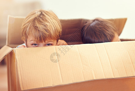 心里没点数吗两个可爱的小男孩从纸板盒里偷看 他没看见过什么东西吗?背景