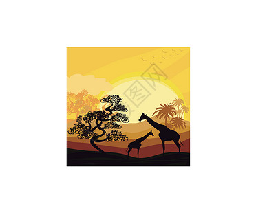 扇尾沙锥鸟类日落时长颈鹿的非洲大卡通沙万纳贺卡海报设计图片