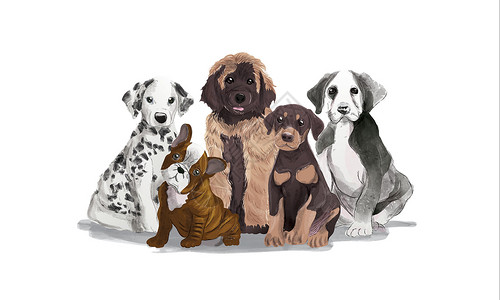 四只犬一组狗狗小狗肖像水彩色 现实的白色背景矢量插图设计图片