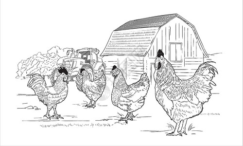 谷仓Wooden农庄草原草地雕刻鸡腿公鸡的草场草图 用牵拉机绘制黑白手牵引矢量插图插画