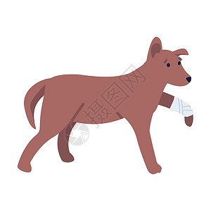 受伤的动物腿折断的悲哀狗半平板彩色向量字符插画