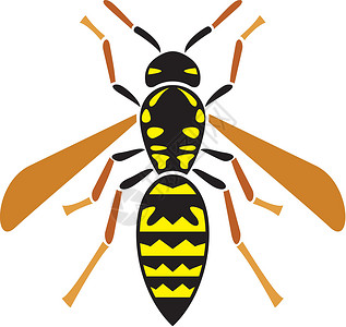 黄蜂蜇伤黄蜂昆虫设计图片