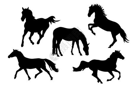 一组黑白马的轮廓 包括奔跑 跳跃 搏斗和养殖 矢量插图 EPS背景图片