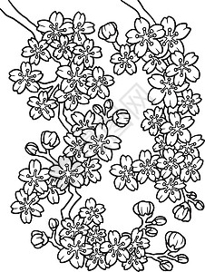 千本樱用于成人的樱花彩色页面插画