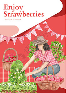 素食宣传单带有草莓收获概念 水彩色风格的海报模板场地女性小册子水彩农业生态生物旅游农场采摘插画