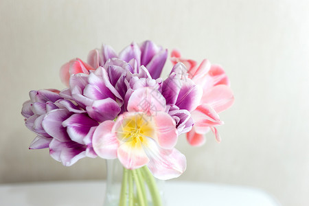 紫色花瓶一束白桌上的粉红色和紫色郁金香花花瓶植物乡村花束礼物花瓣季节花头问候桌子背景
