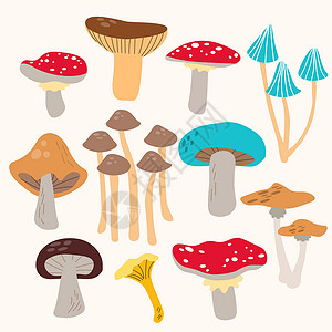 木耳白菜大不同的蘑菇集 食用和有毒真菌集合与 cep 飞木耳 toadstood 滑杰克 红褐色 milkcap 鸡油菌 白蘑菇 牛肝菌设计图片