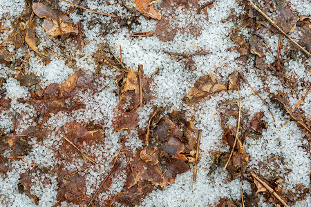 地上积雪和棕色叶子高清图片