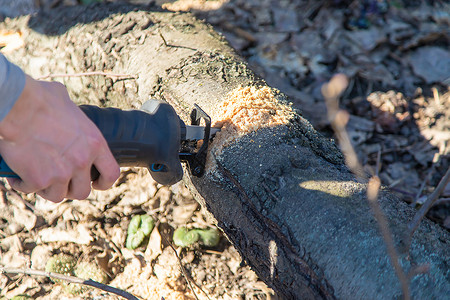 用电锯砍伐树木 选择性聚焦点安全力量木材木锯环境机器链锯刀刃木工人工作服背景图片