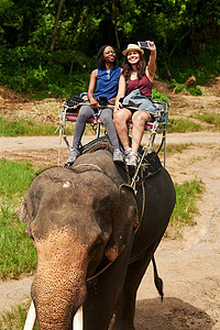 热带雨林大象我们必须抓住这个千载难逢的机会 年轻游客在骑着大象穿越热带雨林时自拍的短片背景