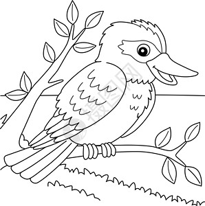 儿童Kookaburra 动物色彩页面背景图片