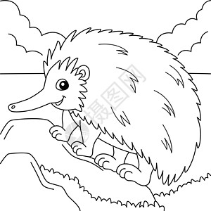 舌苔厚腻Echidna 儿童动物染色页面插画