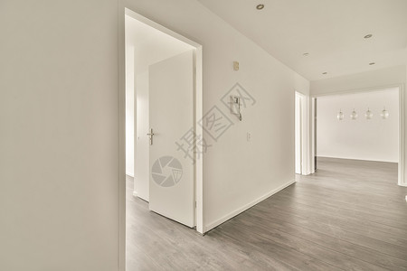 灰色音调的宽走廊途径空白对讲机房子白色地面门厅入口天花板公寓背景图片
