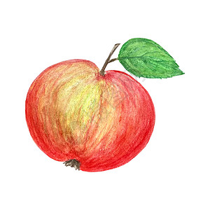 苹果红黄水彩铅笔手绘画 孤立无援背景图片