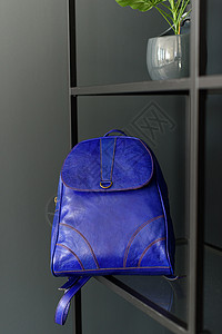 架子上一个深蓝色现代背包学校行李休息室手提包桌子花盆皮革房间贮存公寓背景图片
