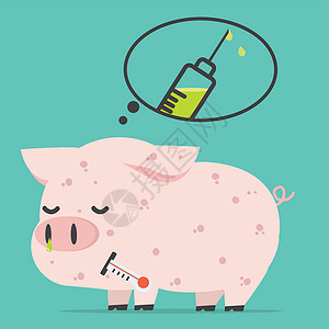 病表情猪禽流感病是一种疫苗接种概念历法表情卡通片小猪插图农场绘画鼻子艺术温度插画