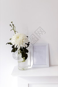 玻璃花瓶中的大菊花 照片框 有文字位置背景图片