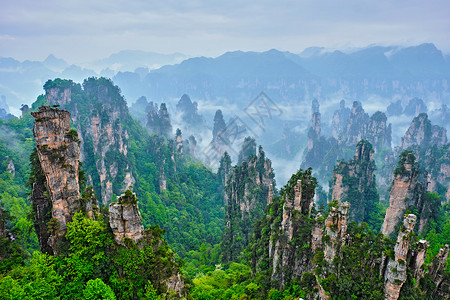 张家崎中国张家江山花朵地标石头森林薄雾游客公园岩石植物山脉背景