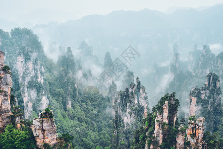 张家崎中国张家江山地标薄雾砂岩山脉天气森林遗产旅行公园旅游背景