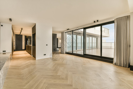 一个宽敞空空房的内部极简地面风格植物居住主义者木地板建筑学建筑大厅背景图片