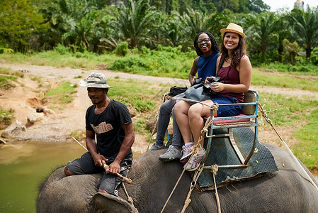 热带雨林大象从这里看风景真美 年轻游客骑着大象穿越热带雨林的画像背景